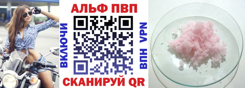 Альфа ПВП СК КРИС Гудермес