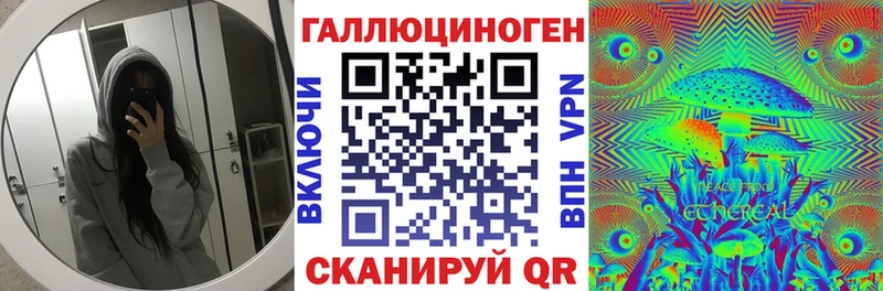 darknet клад Гудермес Псилоцибиновые грибы Magic Shrooms